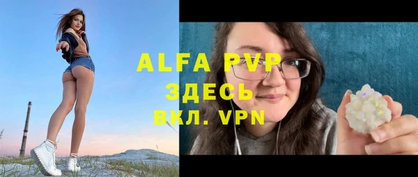 молекула духа Няндома